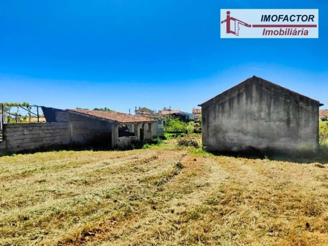 Quinta para Venda em Ladoeiro Foto 6