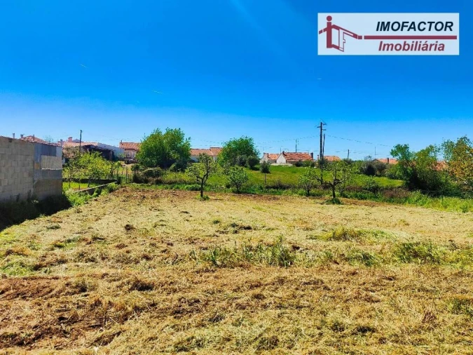 Quinta para Venda em Ladoeiro Foto 3