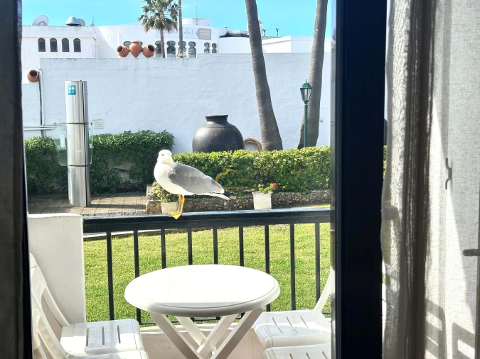 Apartamento T2 para Venda em Albufeira e Olhos de Água Foto 3