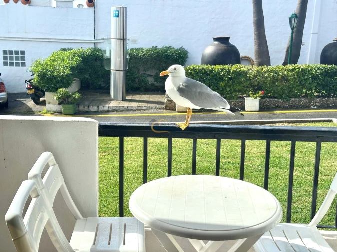 Apartamento T2 para Venda em Albufeira e Olhos de Água Foto 19