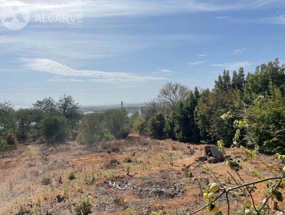 Terreno para Venda em Santa Barbara de Nexe Foto 4