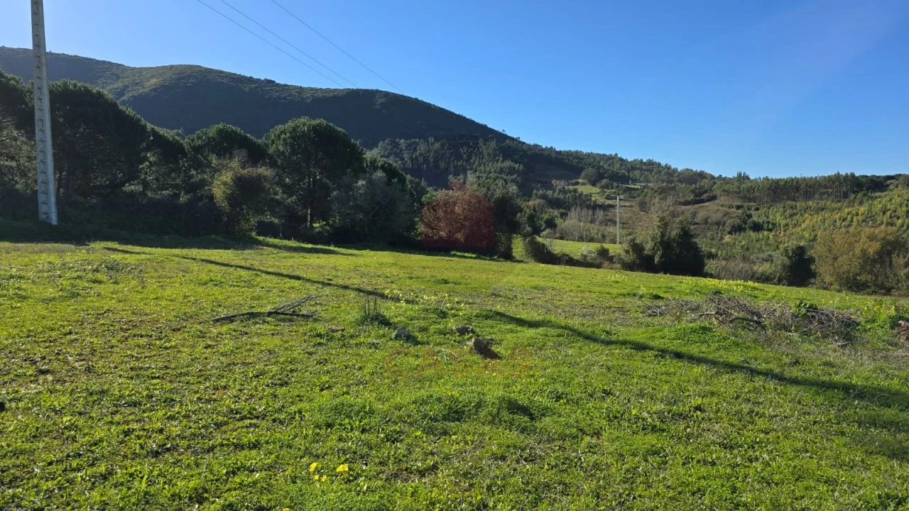 Terreno para Venda em Lamas e Cercal Foto 4
