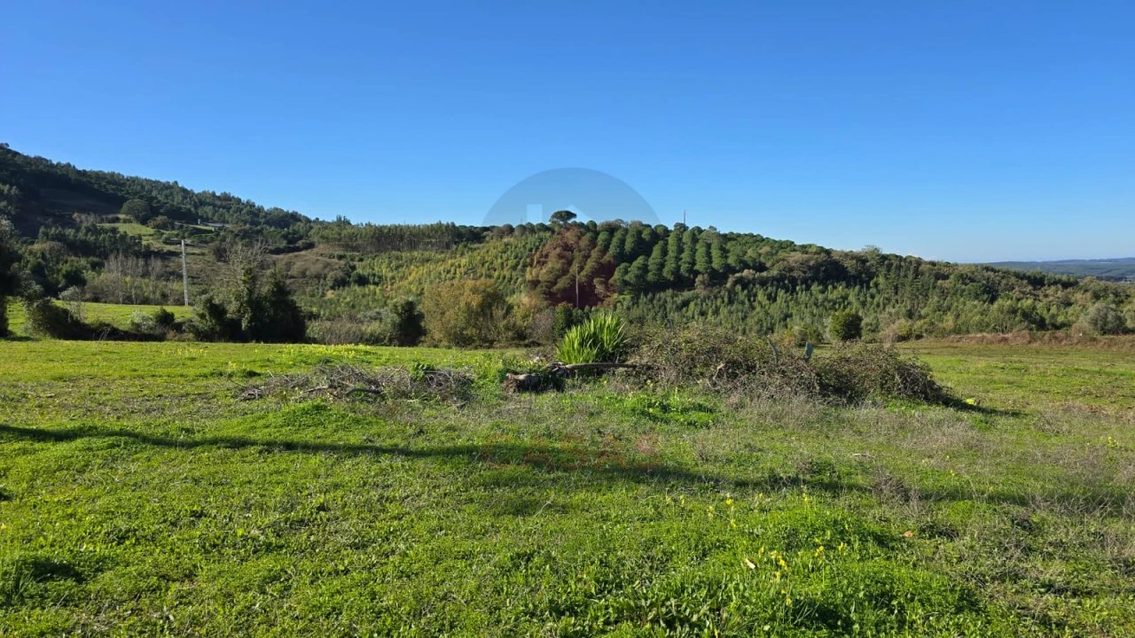 Terreno para Venda em Lamas e Cercal Foto 6