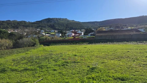 Terreno para Venda em Lamas e Cercal