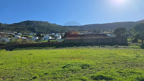 Terreno para Venda em Lamas e Cercal