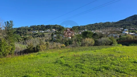 Terreno para Venda em Lamas e Cercal