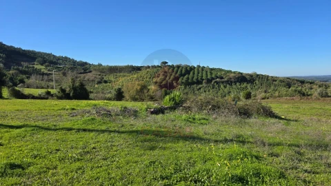 Terreno para Venda em Lamas e Cercal