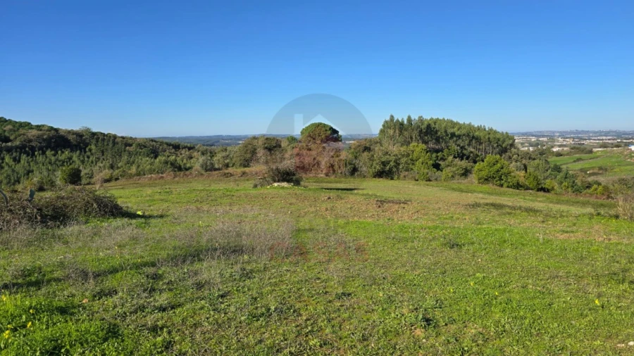 Terreno para Venda em Lamas e Cercal Foto 8