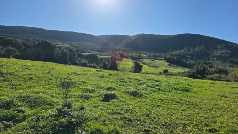 Terreno para Venda em Lamas e Cercal Foto 9