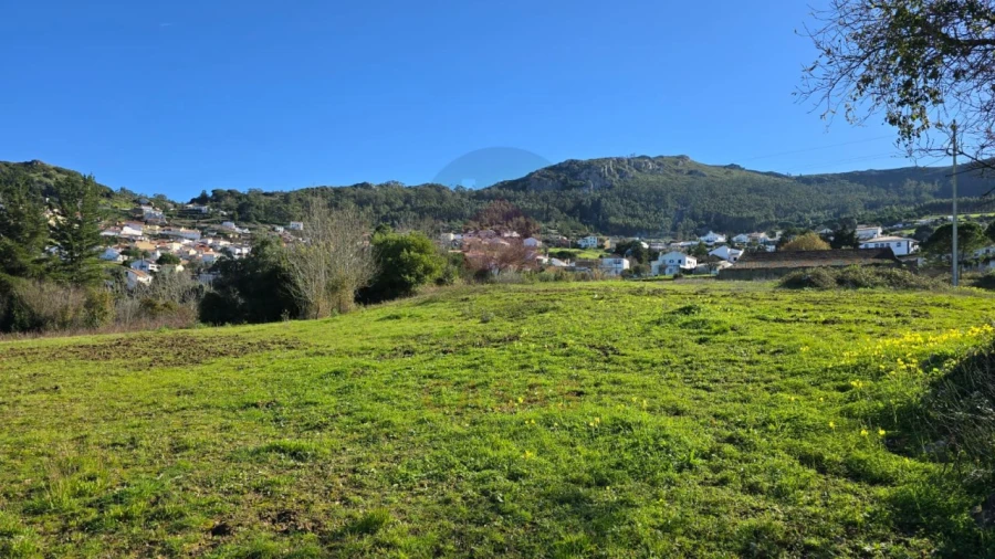Terreno para Venda em Lamas e Cercal Foto 10