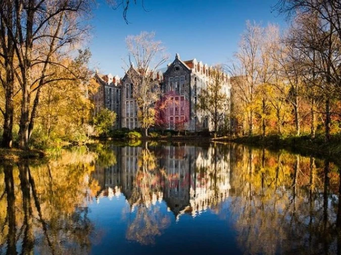 Terreno para Venda em Lamas e Cercal Foto 19