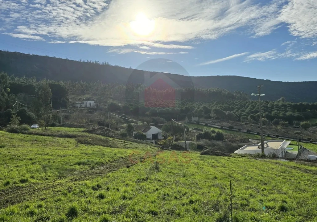 Terreno para Venda em Lamas e Cercal Foto 4