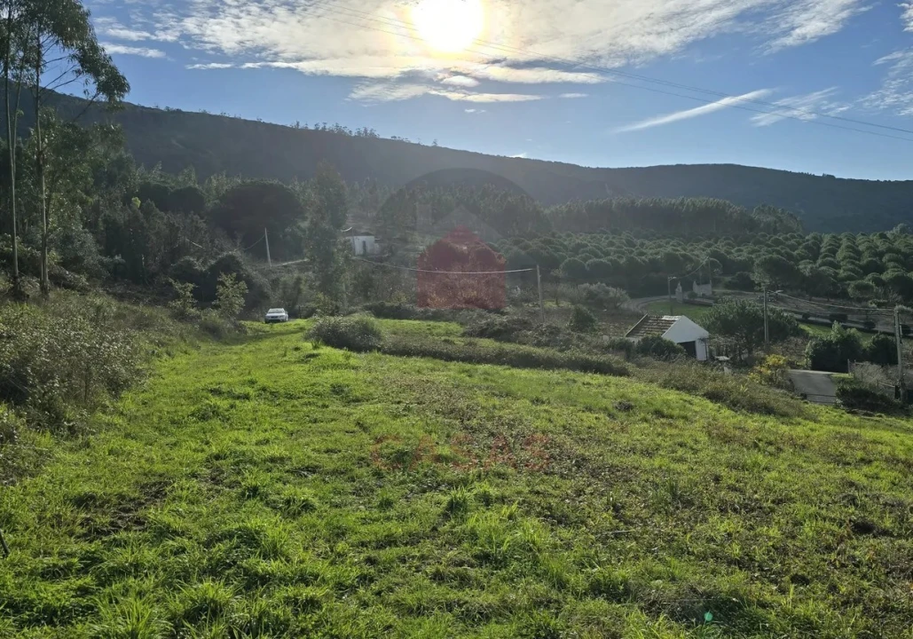 Terreno para Venda em Lamas e Cercal Foto 5