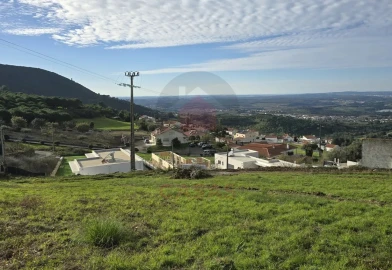Terreno para Venda em Lamas e Cercal