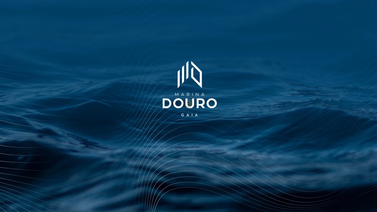 Apartamento T4 para Venda em Santa Marinha e São Pedro da Afurada Foto 21