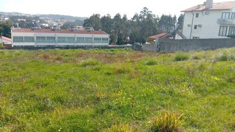 Terreno para Venda em Mozelos