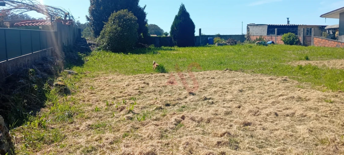 Terreno para Venda em Macieira da Maia Foto 2
