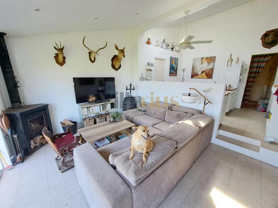 Moradia T3 para Venda em Serra e Junceira Foto 12