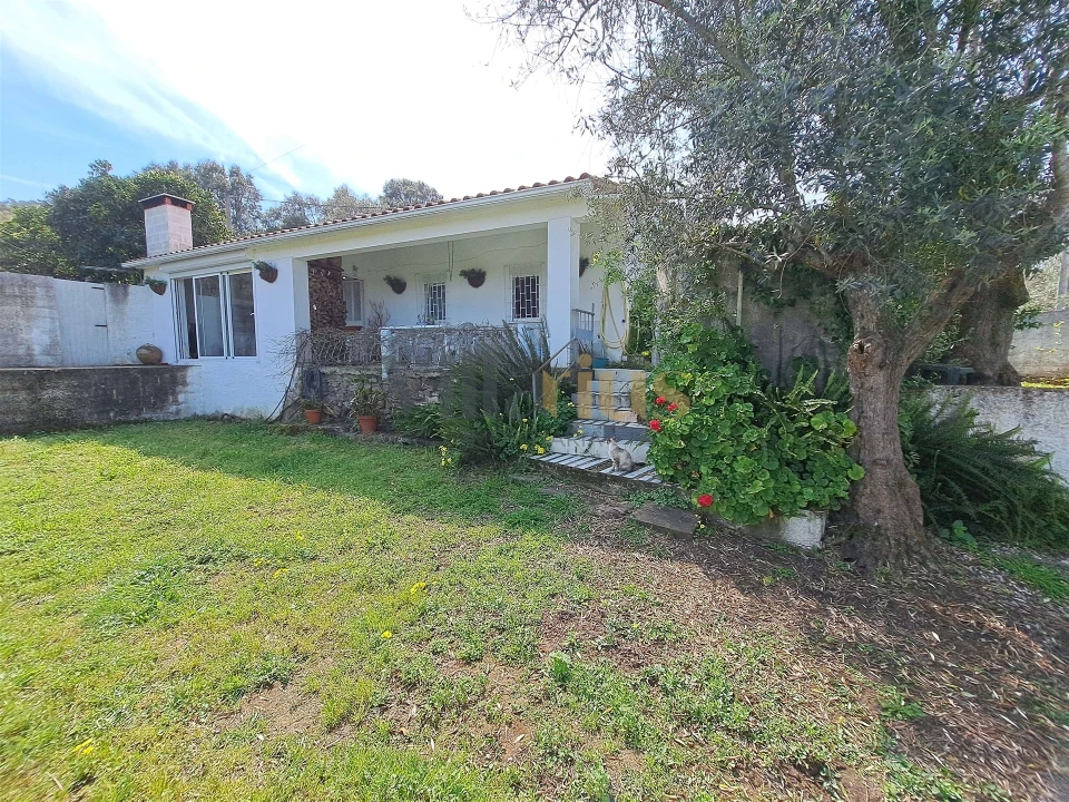 Moradia T3 para Venda em Serra e Junceira Foto 4