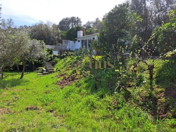 Moradia T3 para Venda em Serra e Junceira