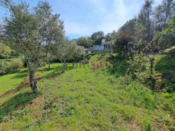 Moradia T3 para Venda em Serra e Junceira