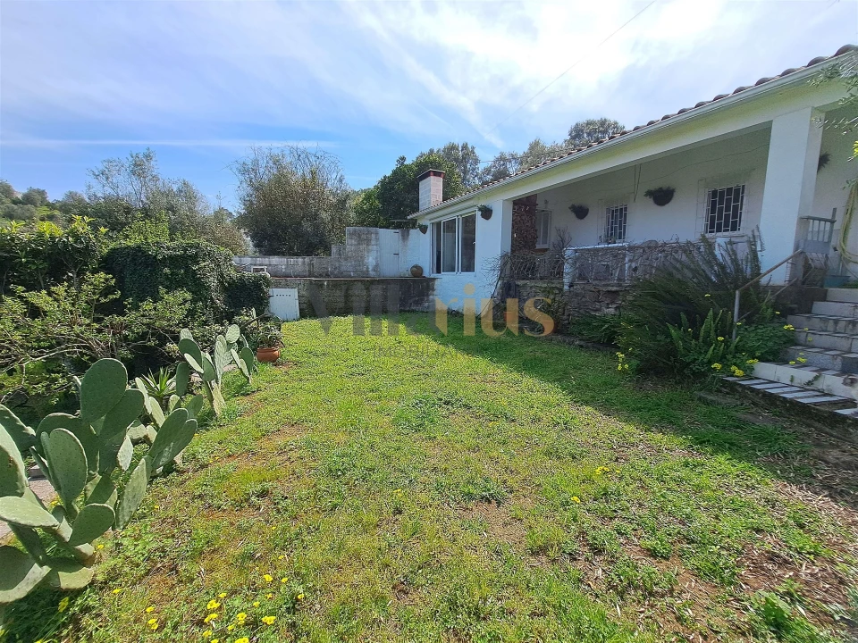 Moradia T3 para Venda em Serra e Junceira Foto 3