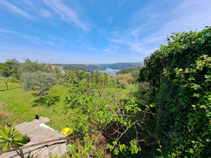 Moradia T3 para Venda em Serra e Junceira Foto 34