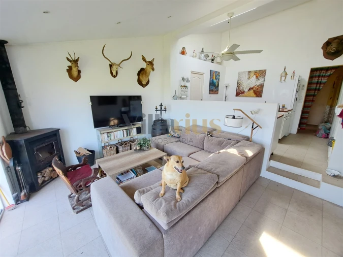 Moradia T3 para Venda em Serra e Junceira Foto 12