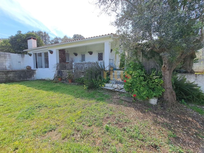 Moradia T3 para Venda em Serra e Junceira Foto 4