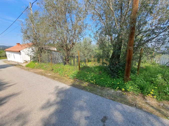 Moradia T3 para Venda em Serra e Junceira Foto 38