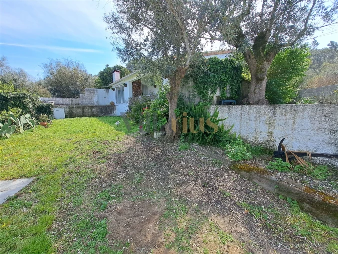 Moradia T3 para Venda em Serra e Junceira Foto 30