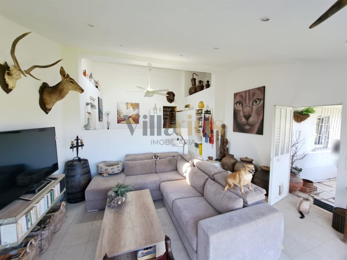 Moradia T3 para Venda em Serra e Junceira Foto 11