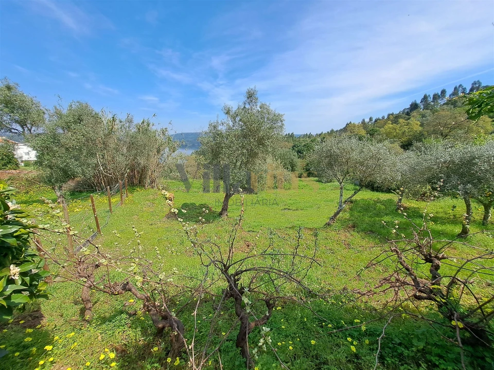 Moradia T3 para Venda em Serra e Junceira Foto 27