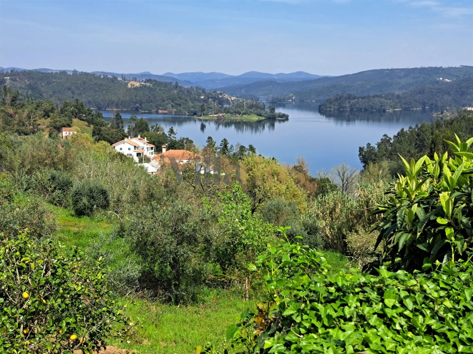 Moradia T3 para Venda em Serra e Junceira Foto 2