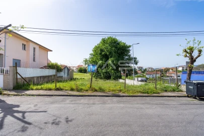 Terreno para Venda em Palmeira
