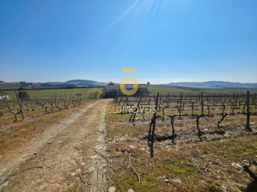 Quinta T0 para Venda em Alijo