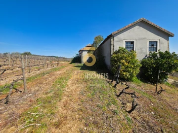 Quinta T0 para Venda em Alijo