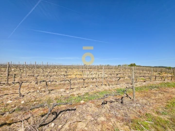 Quinta T0 para Venda em Alijo