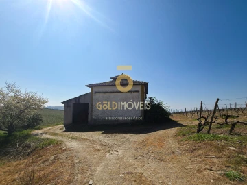 Quinta T0 para Venda em Alijo