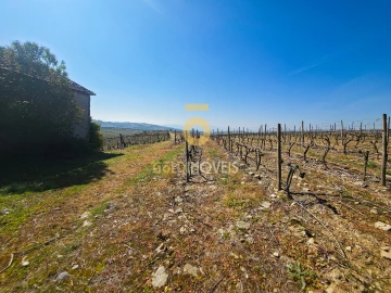 Quinta T0 para Venda em Alijo