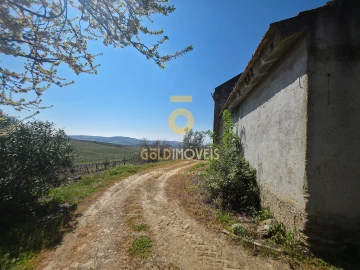 Quinta T0 para Venda em Alijo