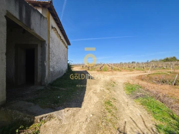 Quinta T0 para Venda em Alijo