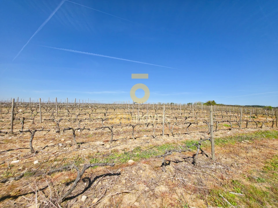 Quinta T0 para Venda em Alijo Foto 12