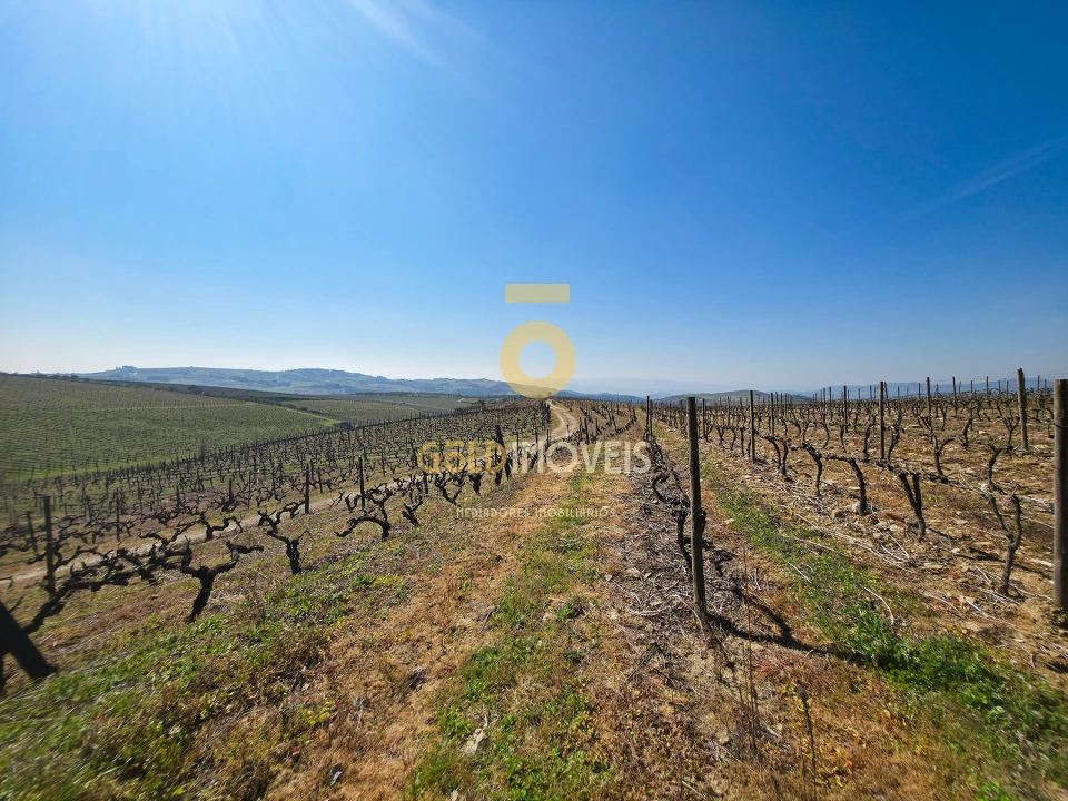 Quinta T0 para Venda em Alijo Foto 1