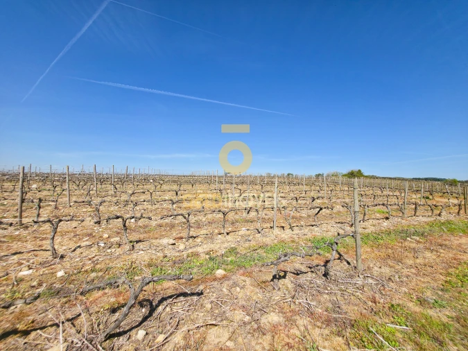 Quinta T0 para Venda em Alijo Foto 12