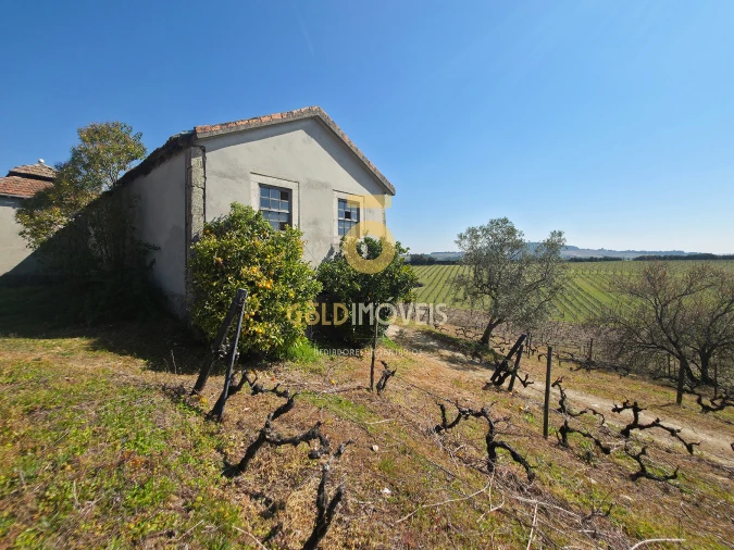 Quinta T0 para Venda em Alijo Foto 10