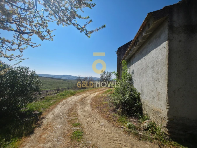 Quinta T0 para Venda em Alijo Foto 15