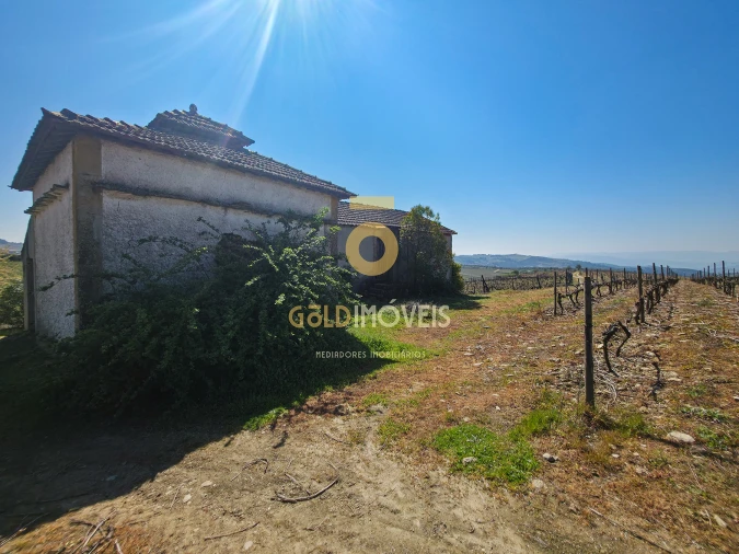 Quinta T0 para Venda em Alijo Foto 6