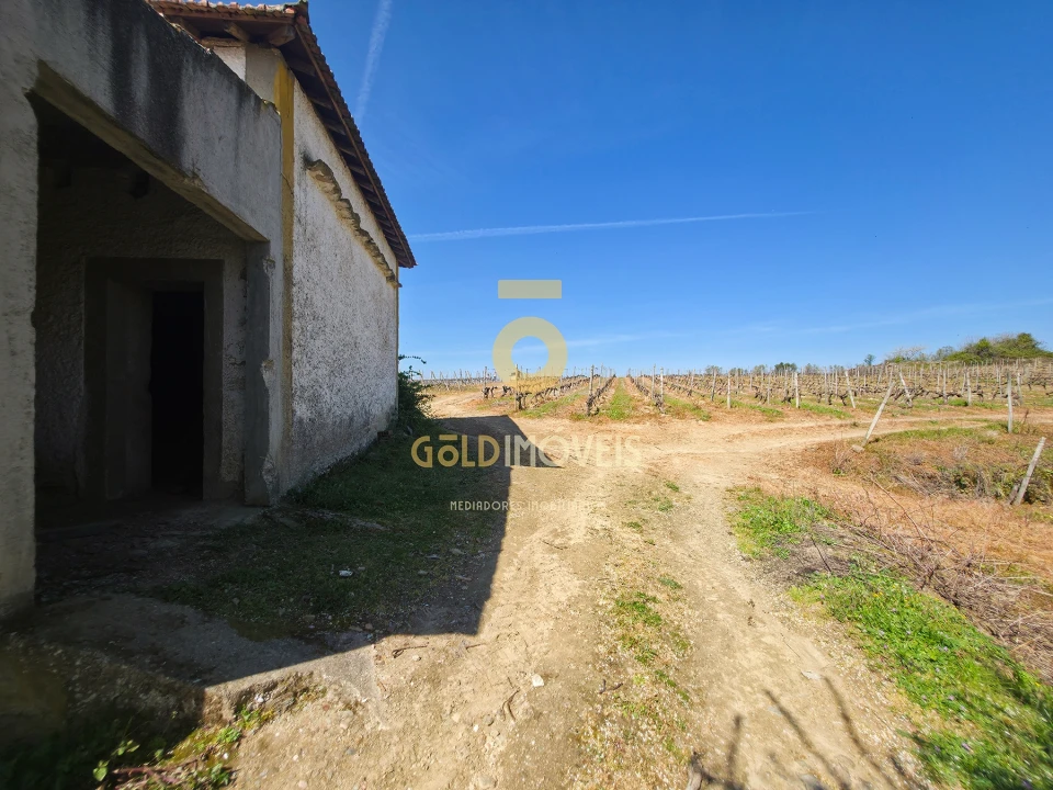 Quinta T0 para Venda em Alijo Foto 16