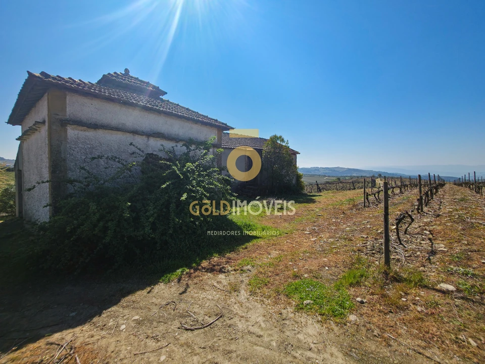 Quinta T0 para Venda em Alijo Foto 6